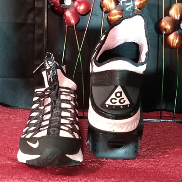 ACG React Terra Gobe main image 4